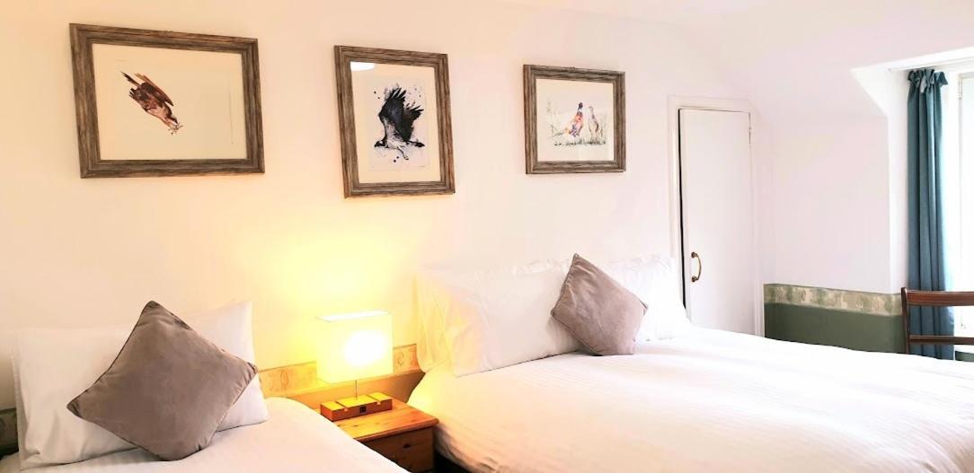 The Osprey Hotel Кингасси Экстерьер фото